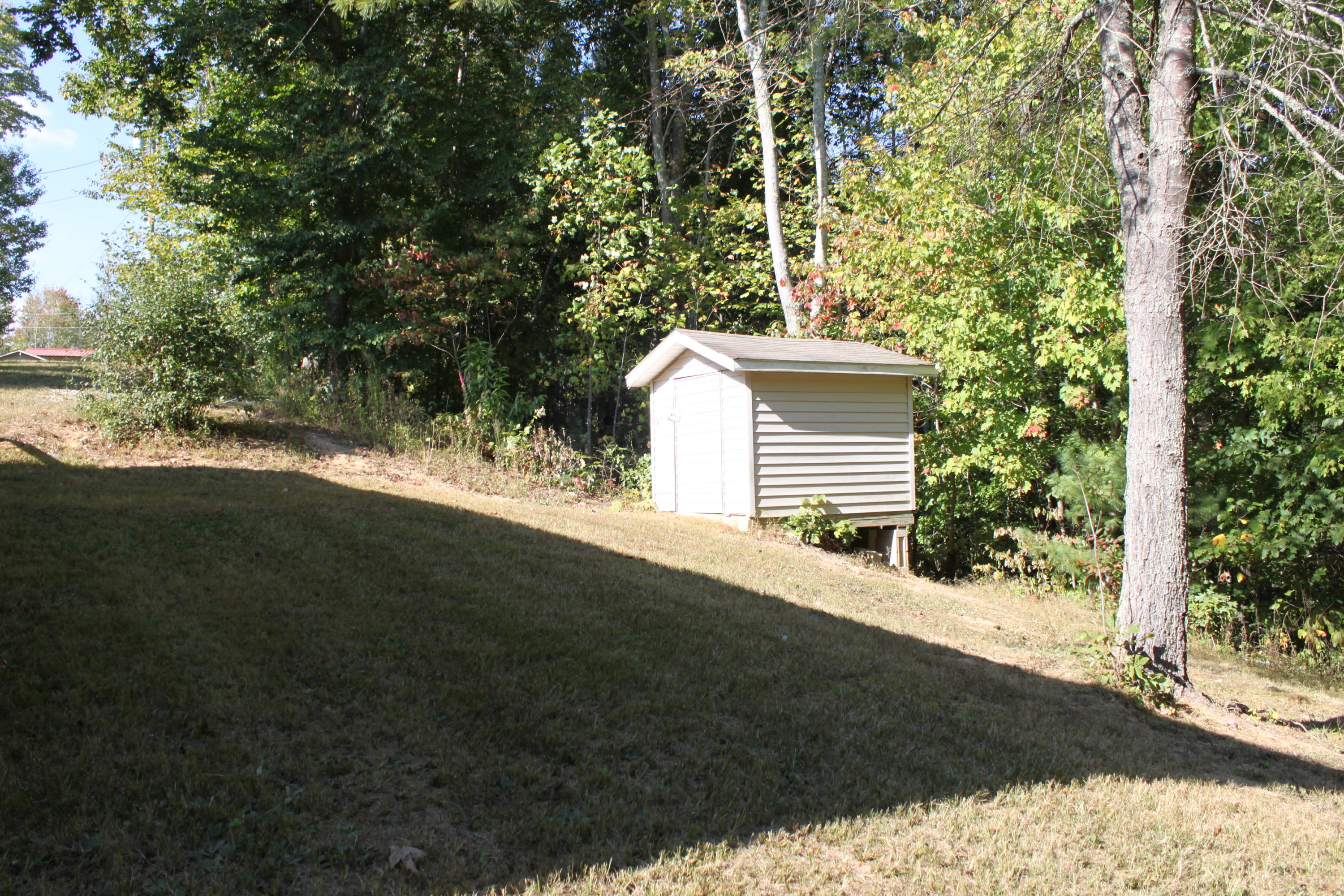381 Williams Road Huntsville, TN 37756 - Photo 4 of 12 backyard