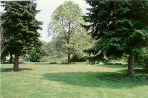 Yard/Garden. 