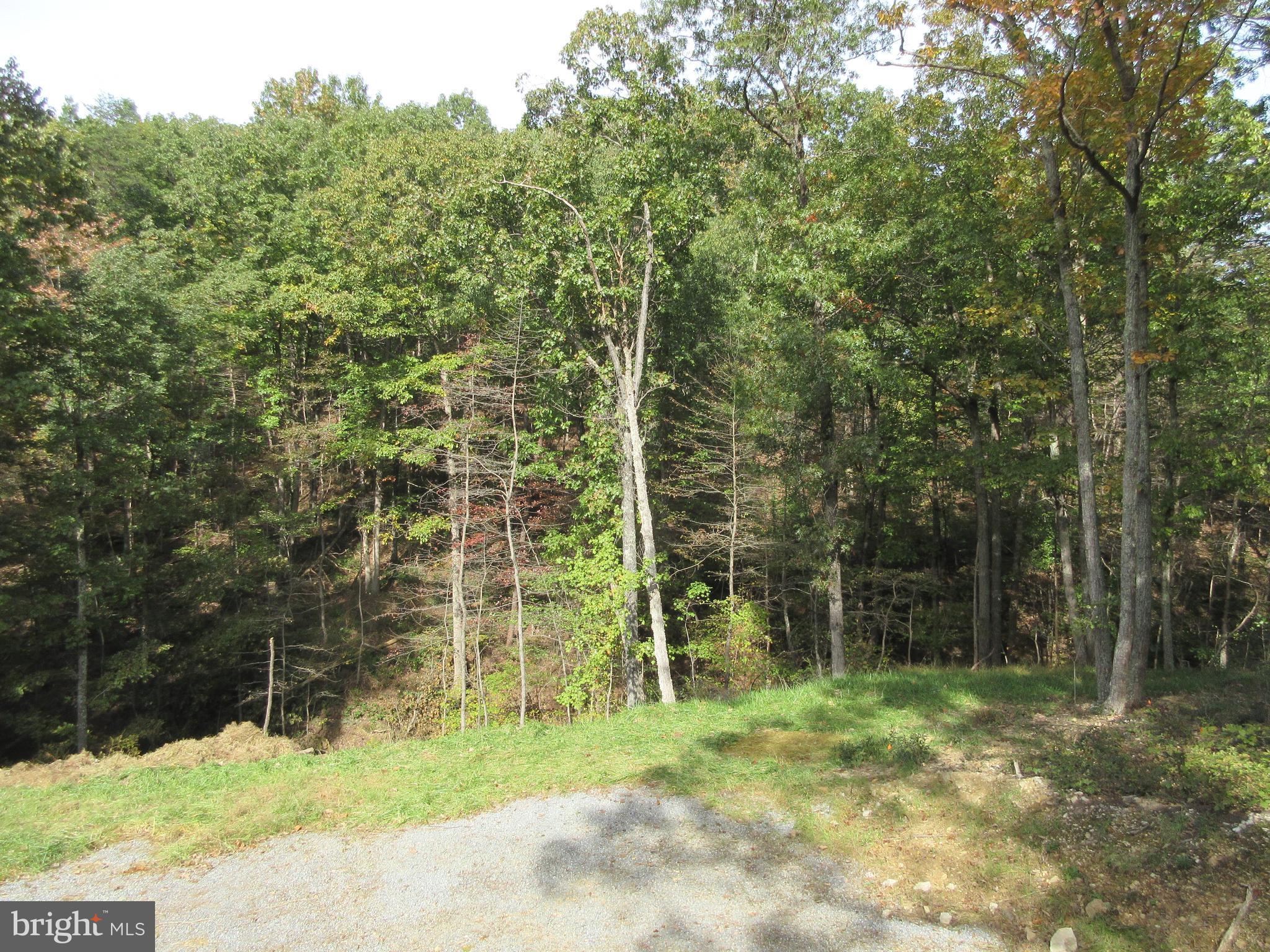 247 Spring Hollow Road Front Royal, VA 22630 - Photo 1 of 7 Unique Location at end of Cul-de-Sac
