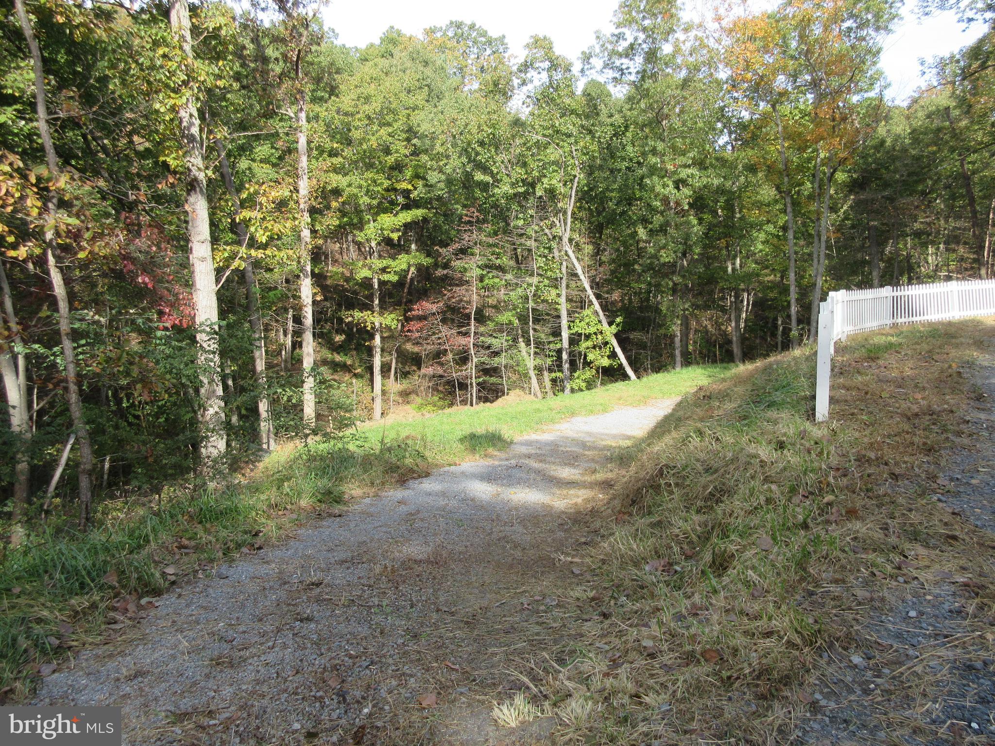 247 Spring Hollow Road Front Royal, VA 22630 - Photo 2 of 7 Enjoy the abundant Wildlife !