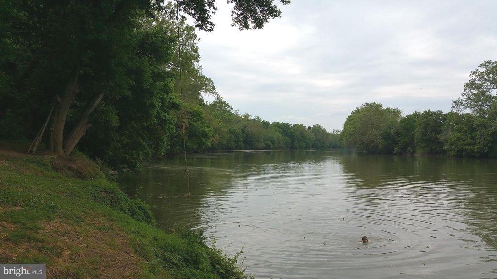 247 Spring Hollow Road Front Royal, VA 22630 - Photo 3 of 7 Enjoy the Lakes , Park and Shenandoah River !