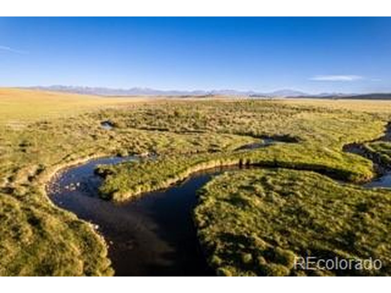 33185 9th Hartsel, CO 80449 - Photo 6 of 17
