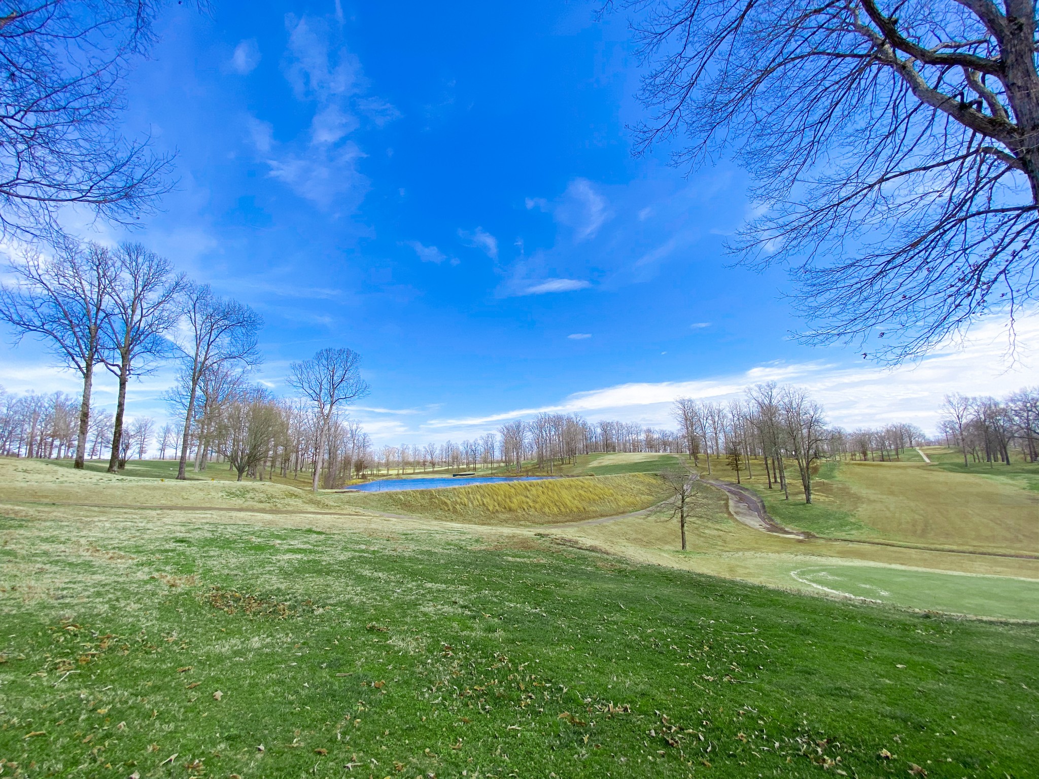 0 Pleasant Garden Road Summertown, TN 38483 - Photo 1 of 49 Gallery Image 1