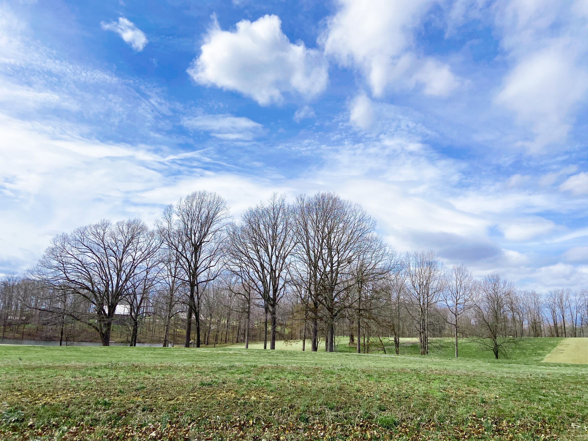 0 Pleasant Garden Road Summertown, TN 38483 - Photo 14 of 49 Gallery Image 14