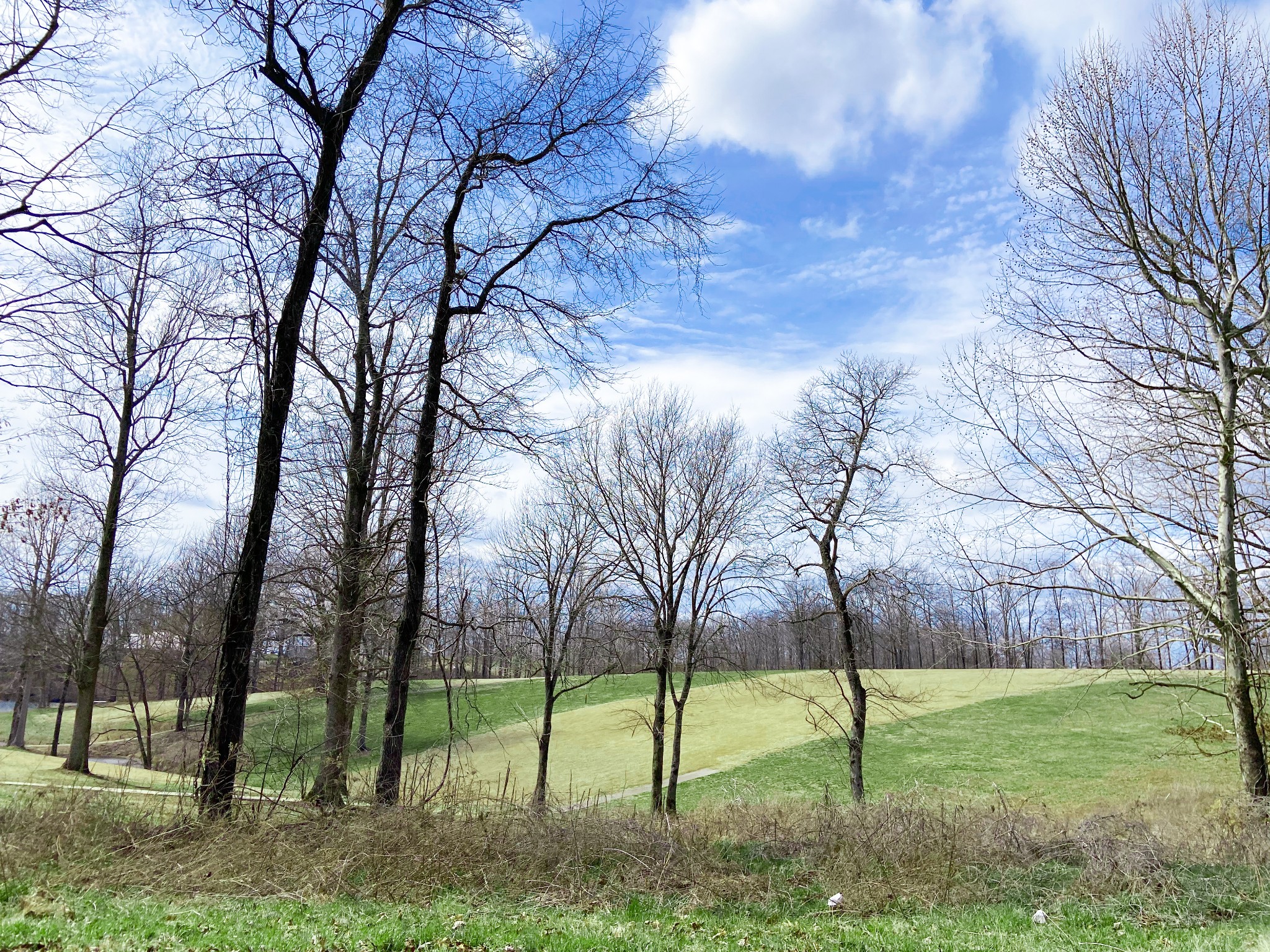 0 Pleasant Garden Road Summertown, TN 38483 - Photo 15 of 49 Gallery Image 15