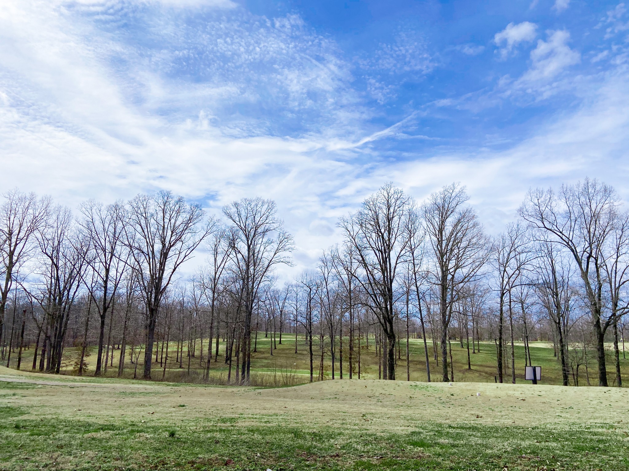0 Pleasant Garden Road Summertown, TN 38483 - Photo 16 of 49 Gallery Image 16