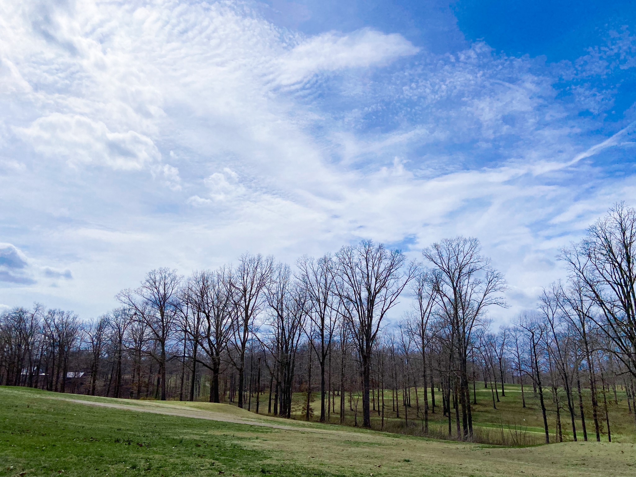 0 Pleasant Garden Road Summertown, TN 38483 - Photo 17 of 49 Gallery Image 17