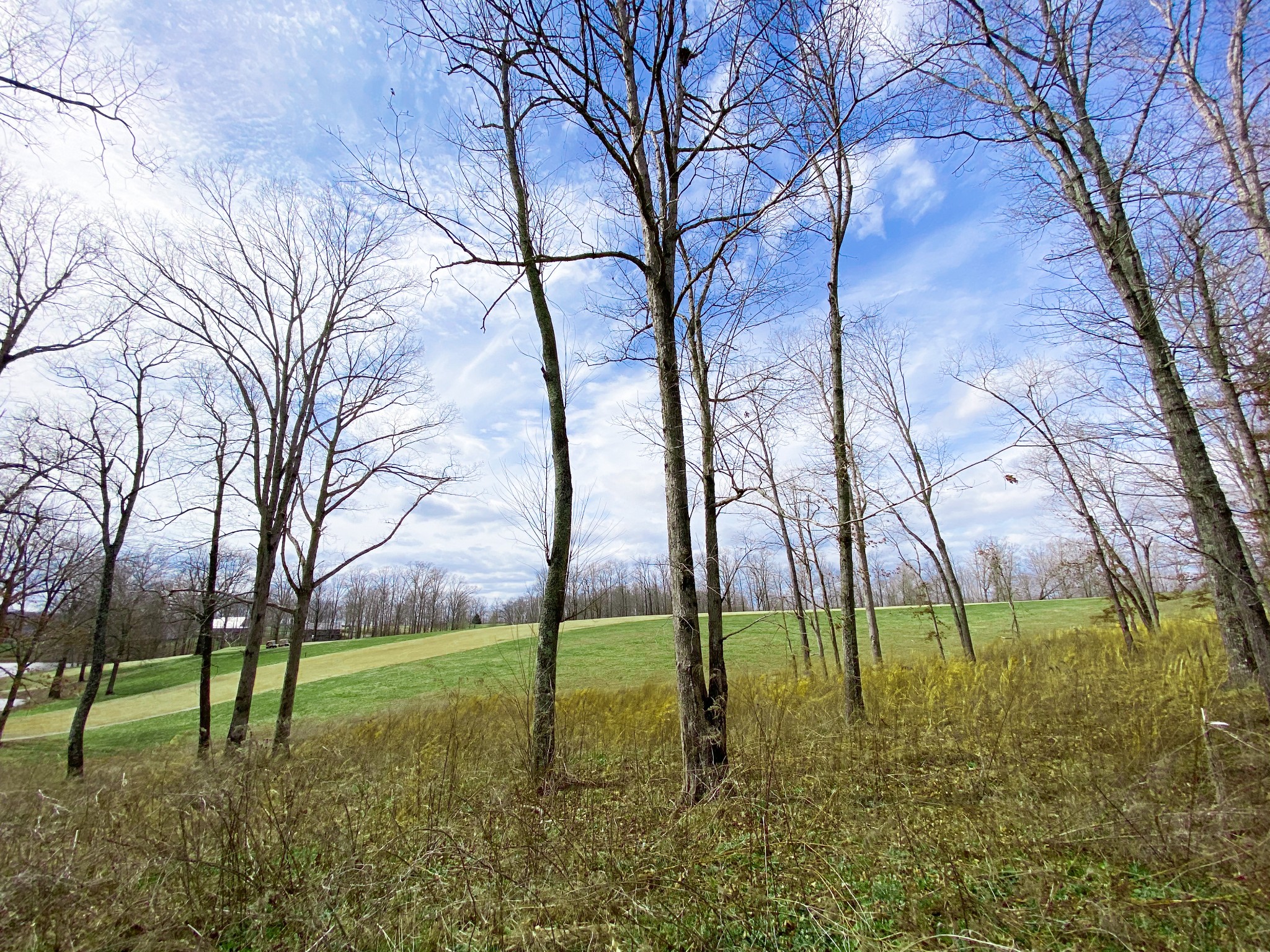 0 Pleasant Garden Road Summertown, TN 38483 - Photo 22 of 49 Gallery Image 22