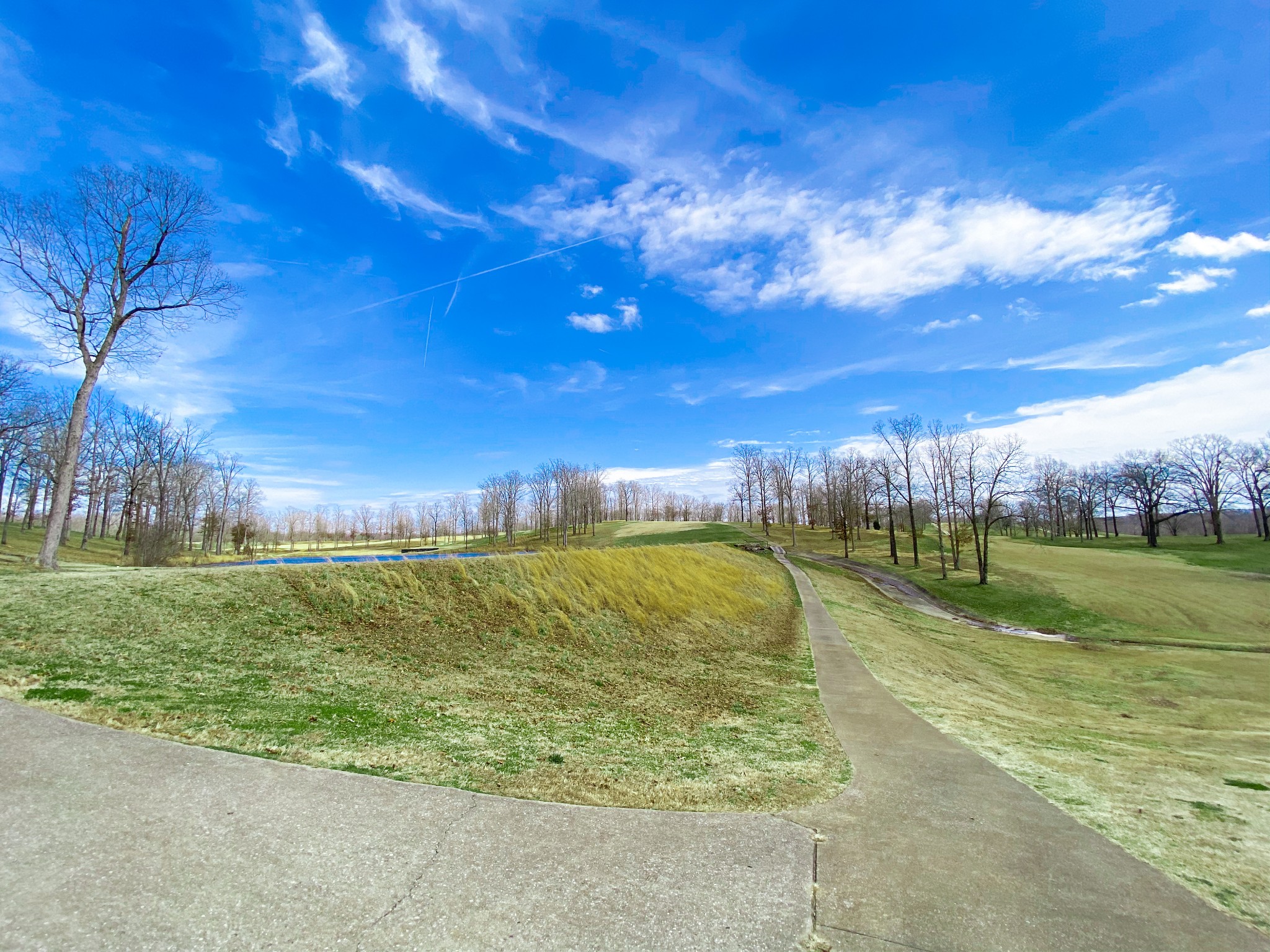 0 Pleasant Garden Road Summertown, TN 38483 - Photo 34 of 49 Gallery Image 34