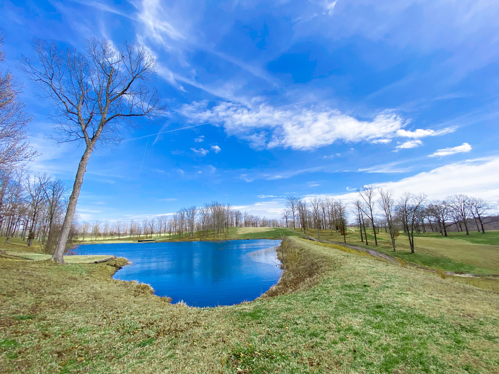 0 Pleasant Garden Road Summertown, TN 38483 - Photo 35 of 49 Gallery Image 35