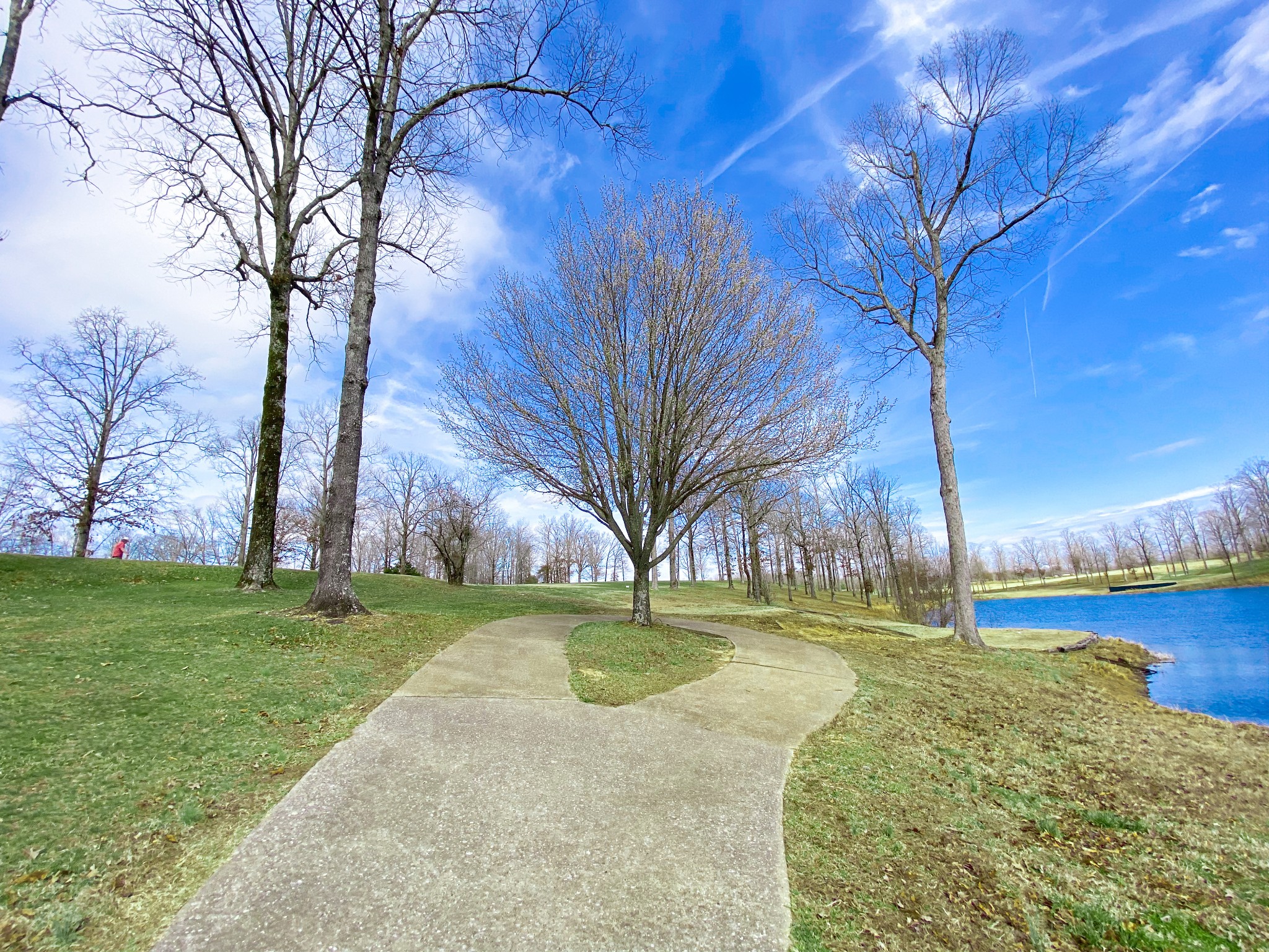 0 Pleasant Garden Road Summertown, TN 38483 - Photo 36 of 49 Gallery Image 36