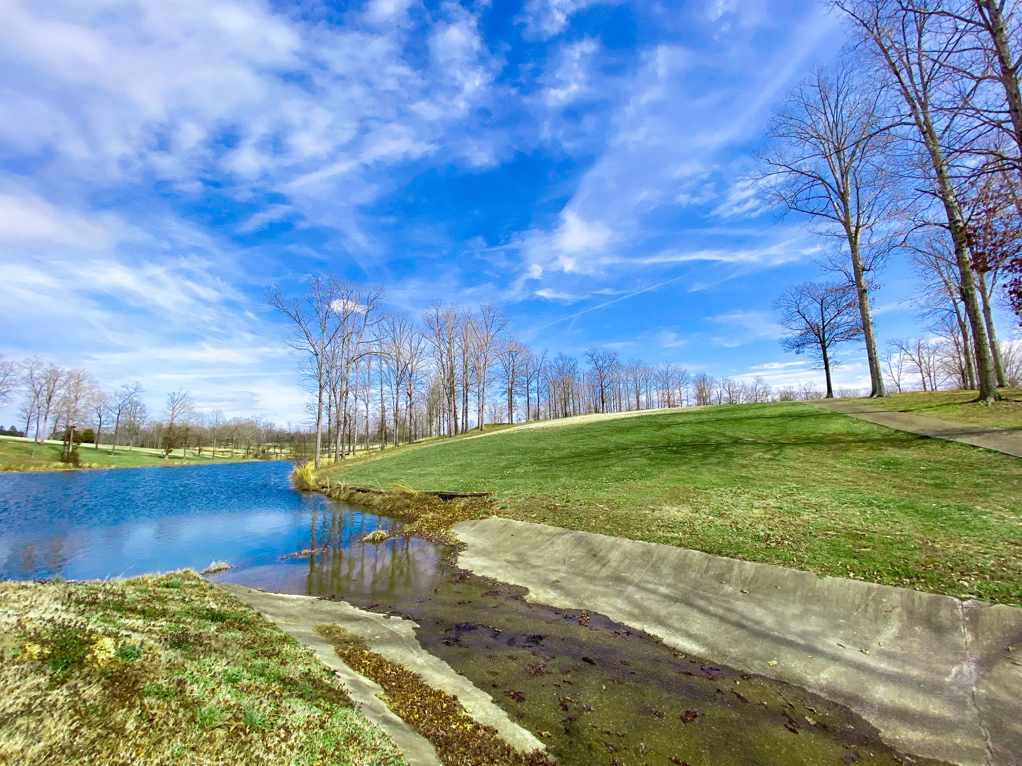 0 Pleasant Garden Road Summertown, TN 38483 - Photo 5 of 49 Gallery Image 5