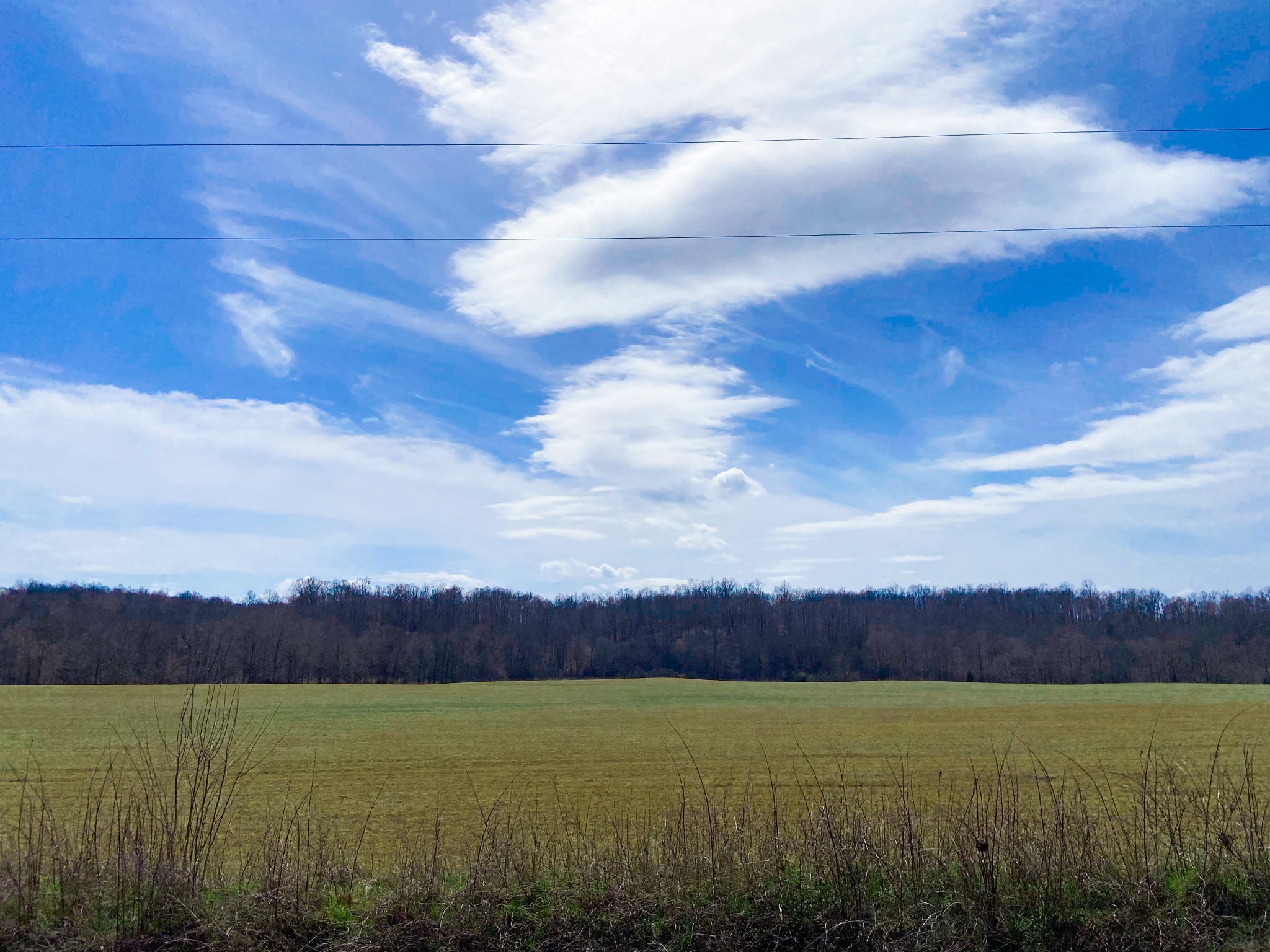 0 Pleasant Garden Road Summertown, TN 38483 - Photo 43 of 49 Gallery Image 43