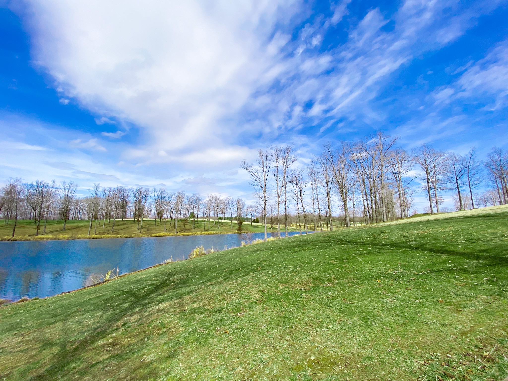 0 Pleasant Garden Road Summertown, TN 38483 - Photo 6 of 49 Gallery Image 6