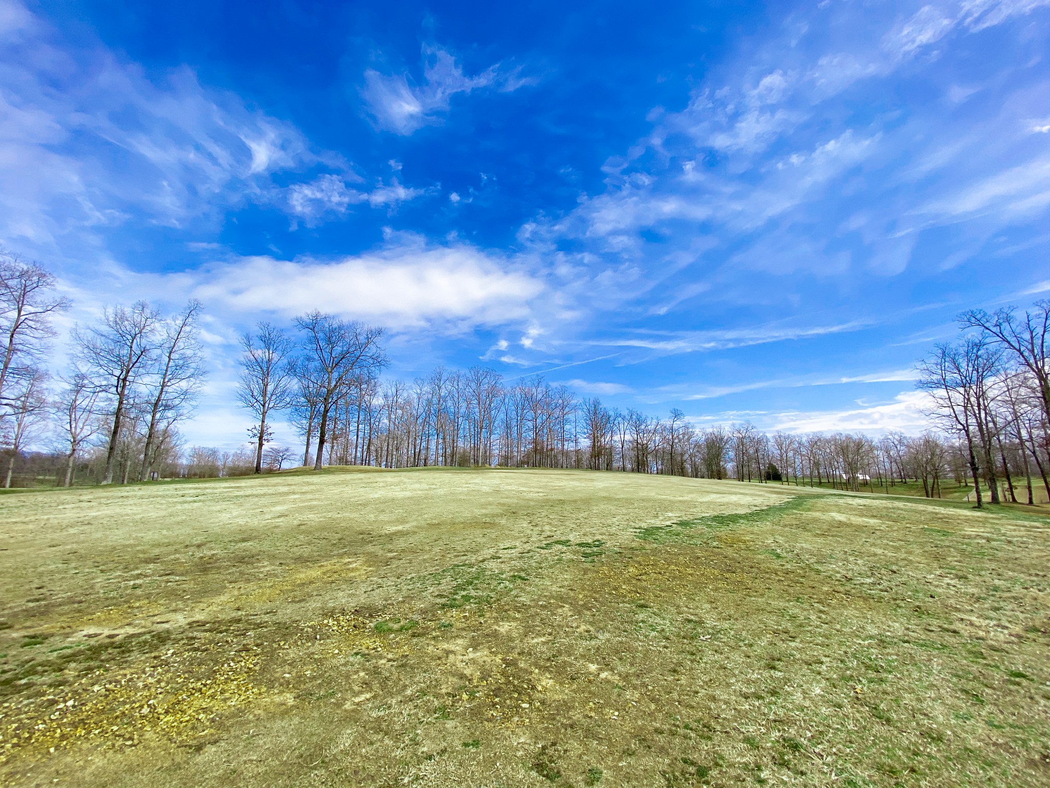0 Pleasant Garden Road Summertown, TN 38483 - Photo 7 of 49 Gallery Image 7