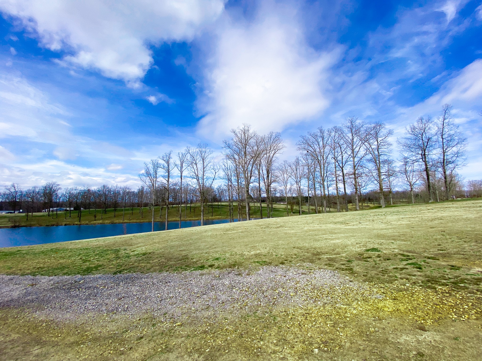 0 Pleasant Garden Road Summertown, TN 38483 - Photo 8 of 49 Gallery Image 8