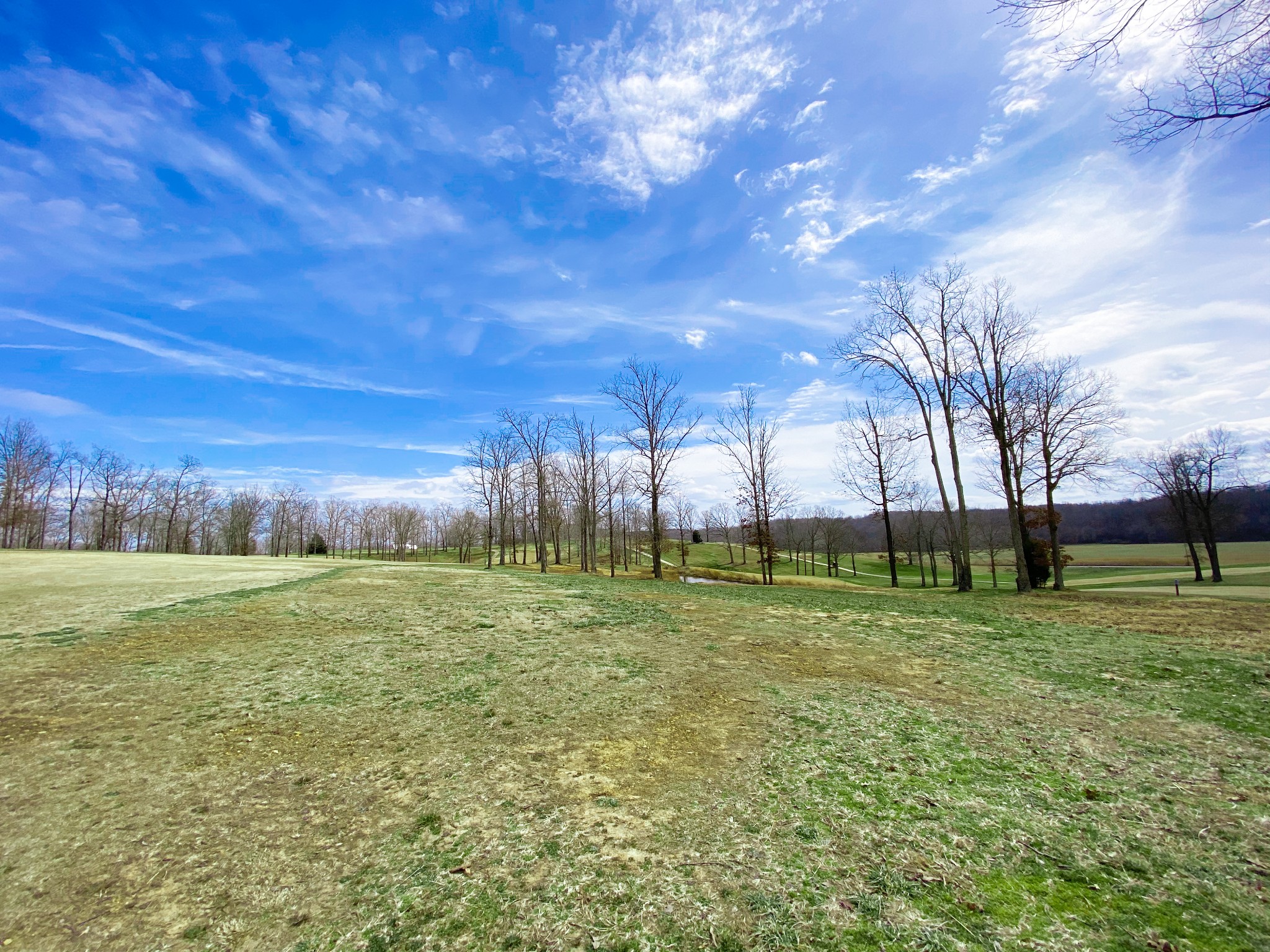 0 Pleasant Garden Road Summertown, TN 38483 - Photo 9 of 49 Gallery Image 9