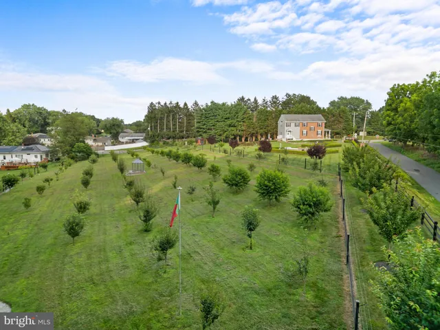a view of a tennis ground with large trees