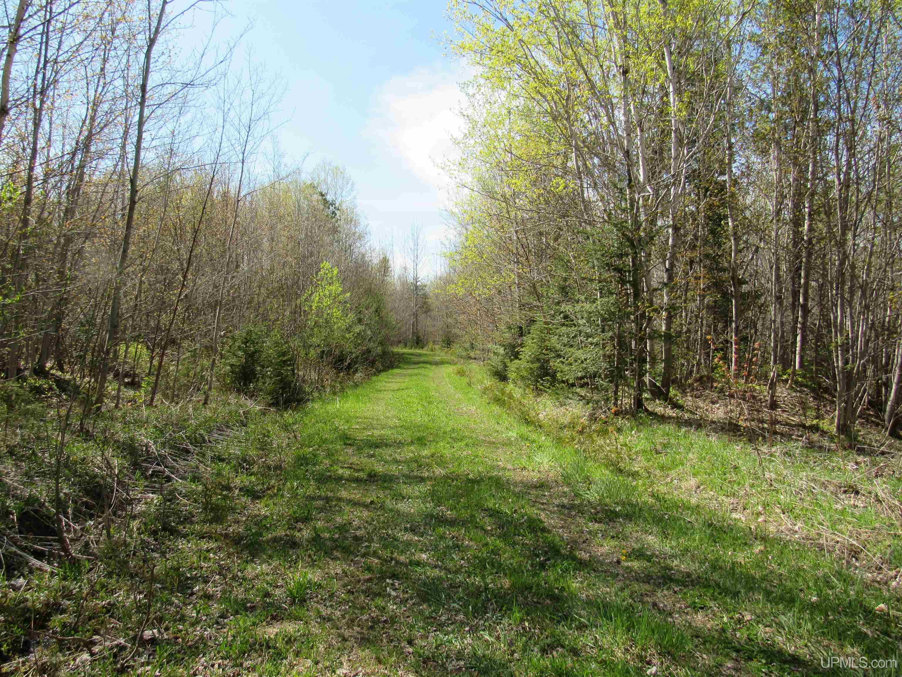 Tbd Off Rice Lake Road, Unit NO DRIVE BYS Lake Linden, MI 49945 - Photo 20 of 40