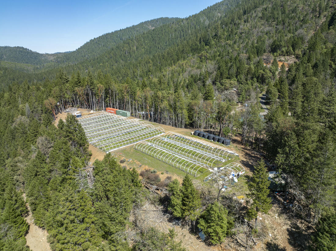 550 Terrace Heights Road Selma, OR 97538 - Photo 23 of 26 DJI_0028