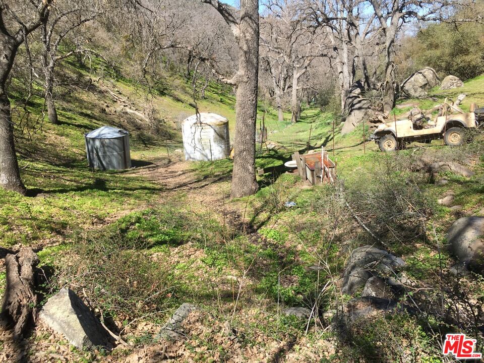 0 Rancheria Road Bakersfield, CA 93306 - Photo 7 of 10 a view of a yard with plants