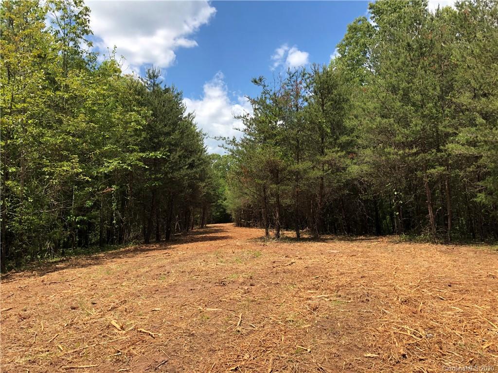 0 Pearidge Road Rutherfordton, NC 28139 - Photo 1 of 10