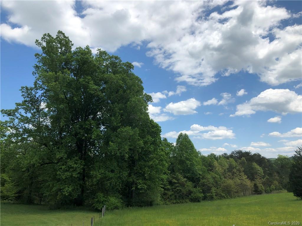 0 Pearidge Road Rutherfordton, NC 28139 - Photo 3 of 10