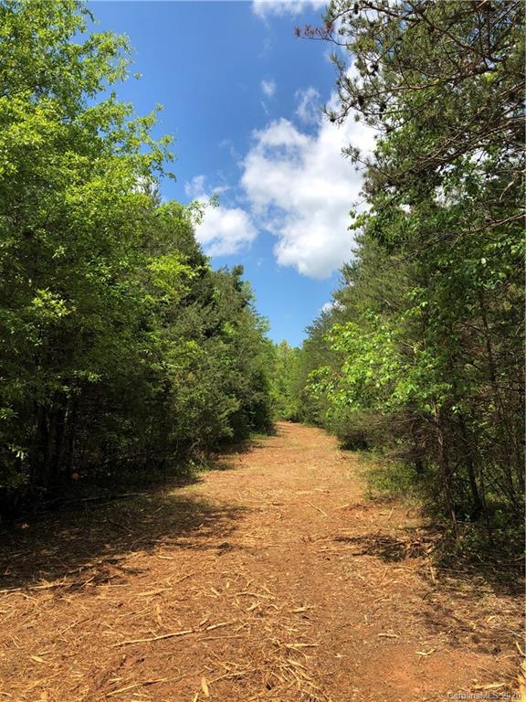 0 Pearidge Road Rutherfordton, NC 28139 - Photo 4 of 10
