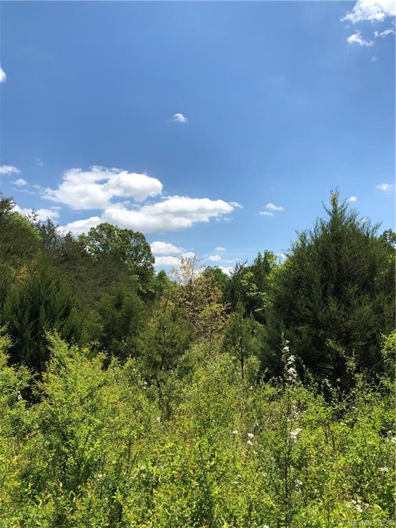 0 Pearidge Road Rutherfordton, NC 28139 - Photo 5 of 10