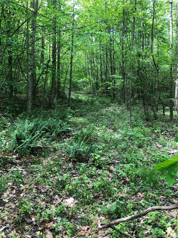 0 Pearidge Road Rutherfordton, NC 28139 - Photo 8 of 10