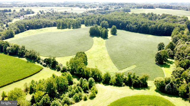 a view of a swimming pool with a yard