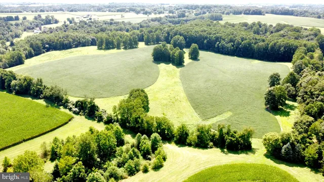 a view of a swimming pool with a yard