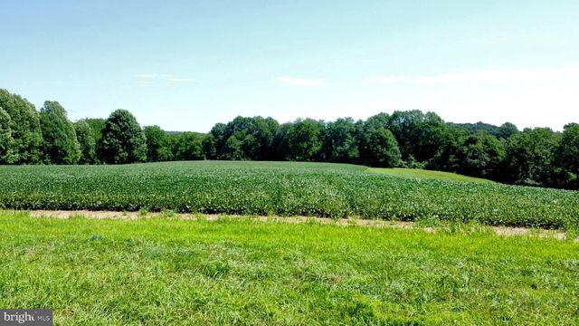 a view of a grassy field with trees