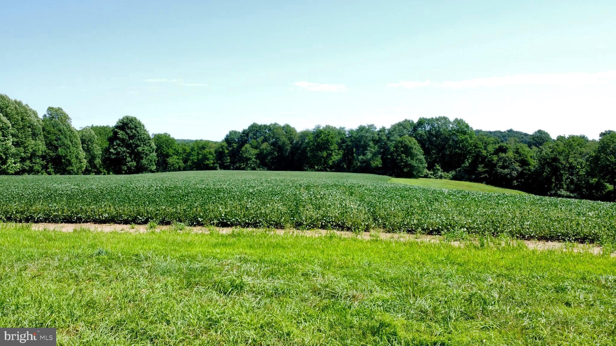 120 Funk Road Cochranville, PA 19330 - Photo 12 of 20 a view of a grassy field with trees