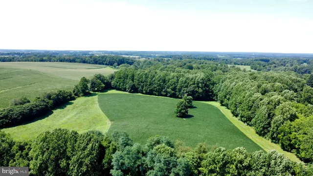 a view of a garden with a lake view