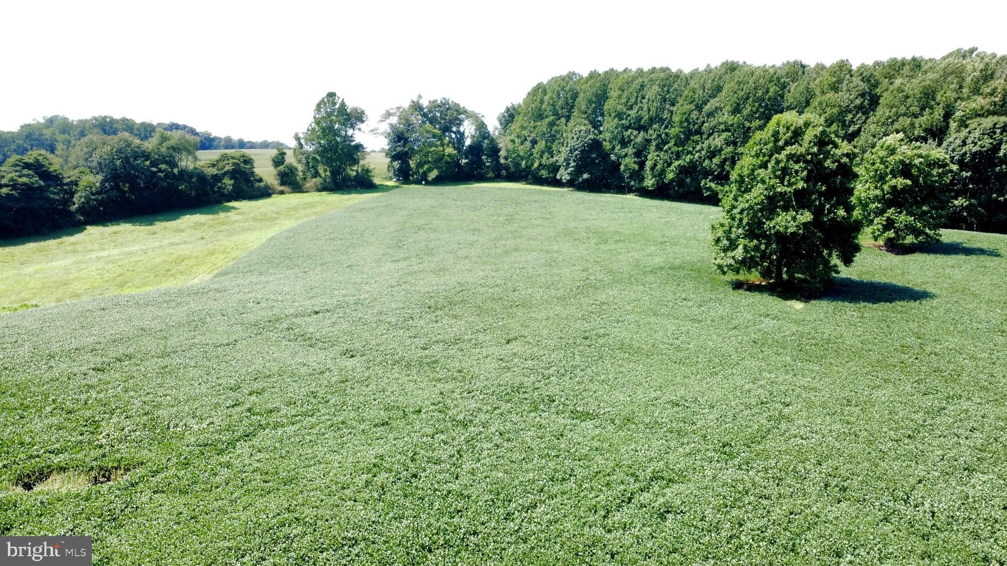 120 Funk Road Cochranville, PA 19330 - Photo 14 of 20 a view of outdoor space and yard