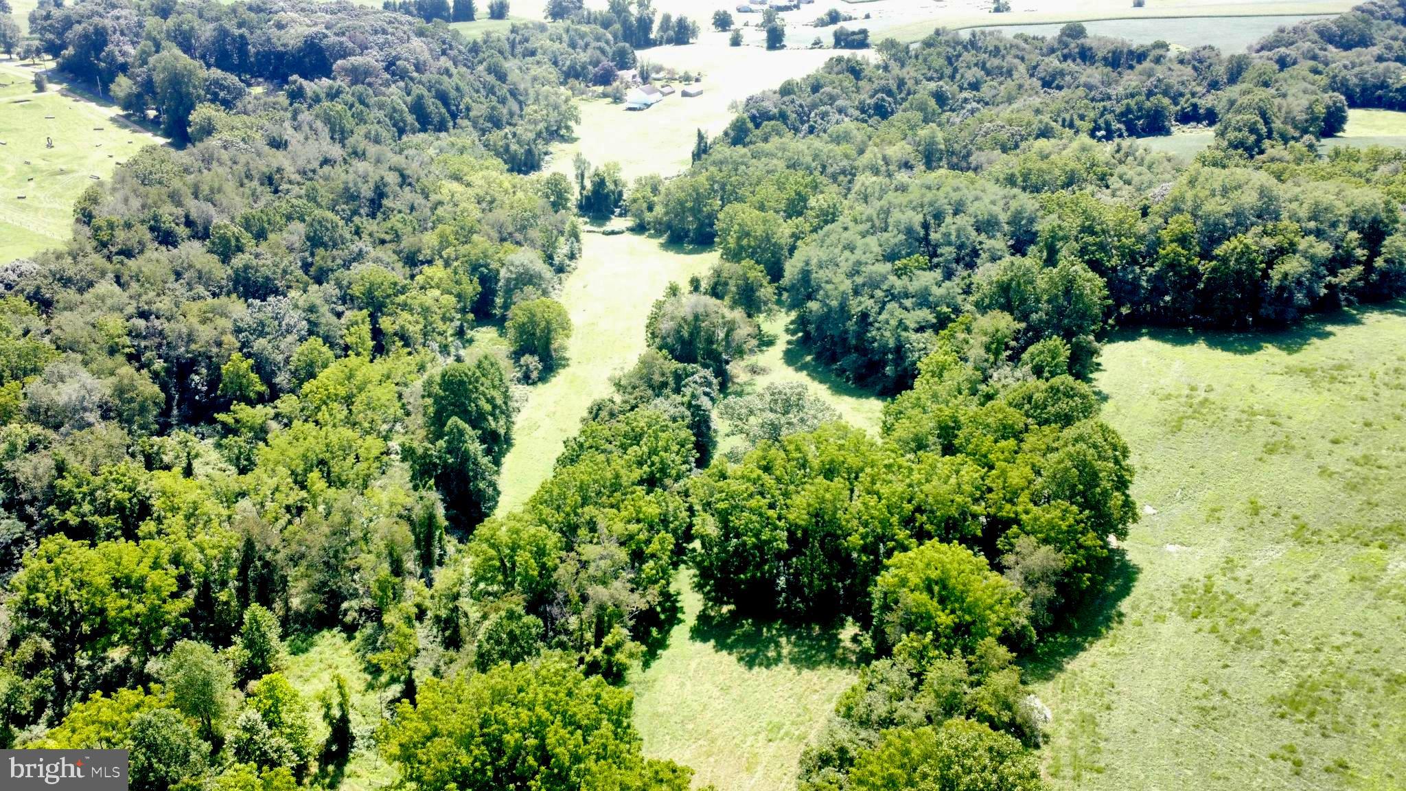120 Funk Road Cochranville, PA 19330 - Photo 16 of 20 a view of a garden with a plant