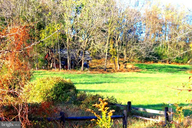 a view of a yard with a tree