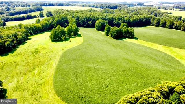 a view of an outdoor space