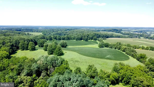 an aerial view of green landscape with trees