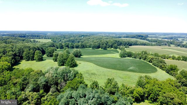 an aerial view of green landscape with trees
