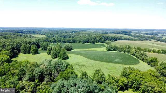 an aerial view of green landscape with trees