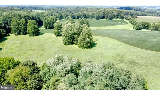 a view of a big yard with large trees