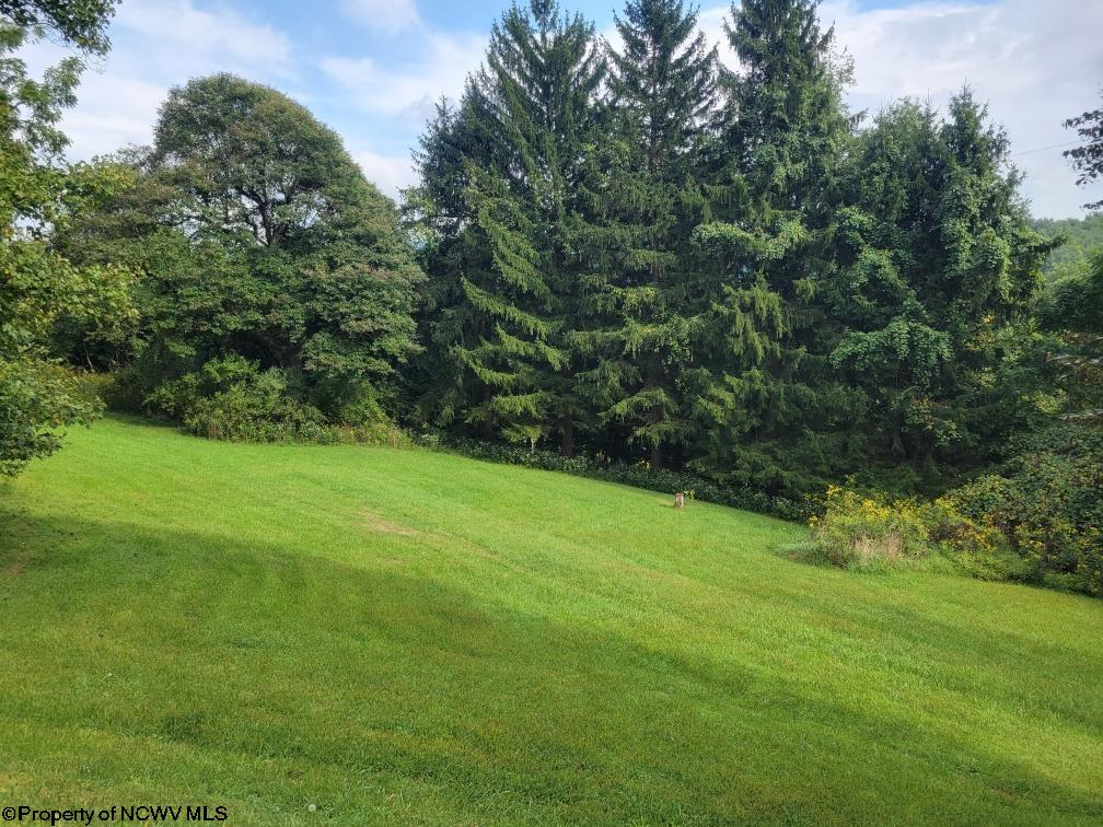 415 Grafton Road Morgantown, WV 26508 - Photo 19 of 31 Gallery Image 19
