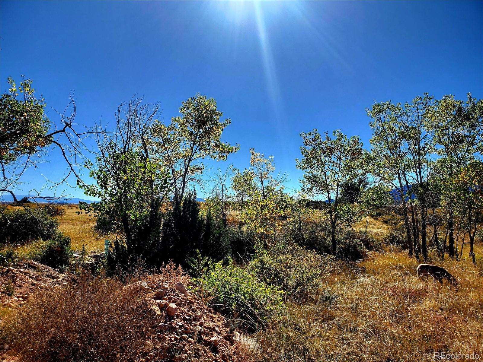650 County Road, Unit 3 Rye, CO 81069 - Photo 19 of 25