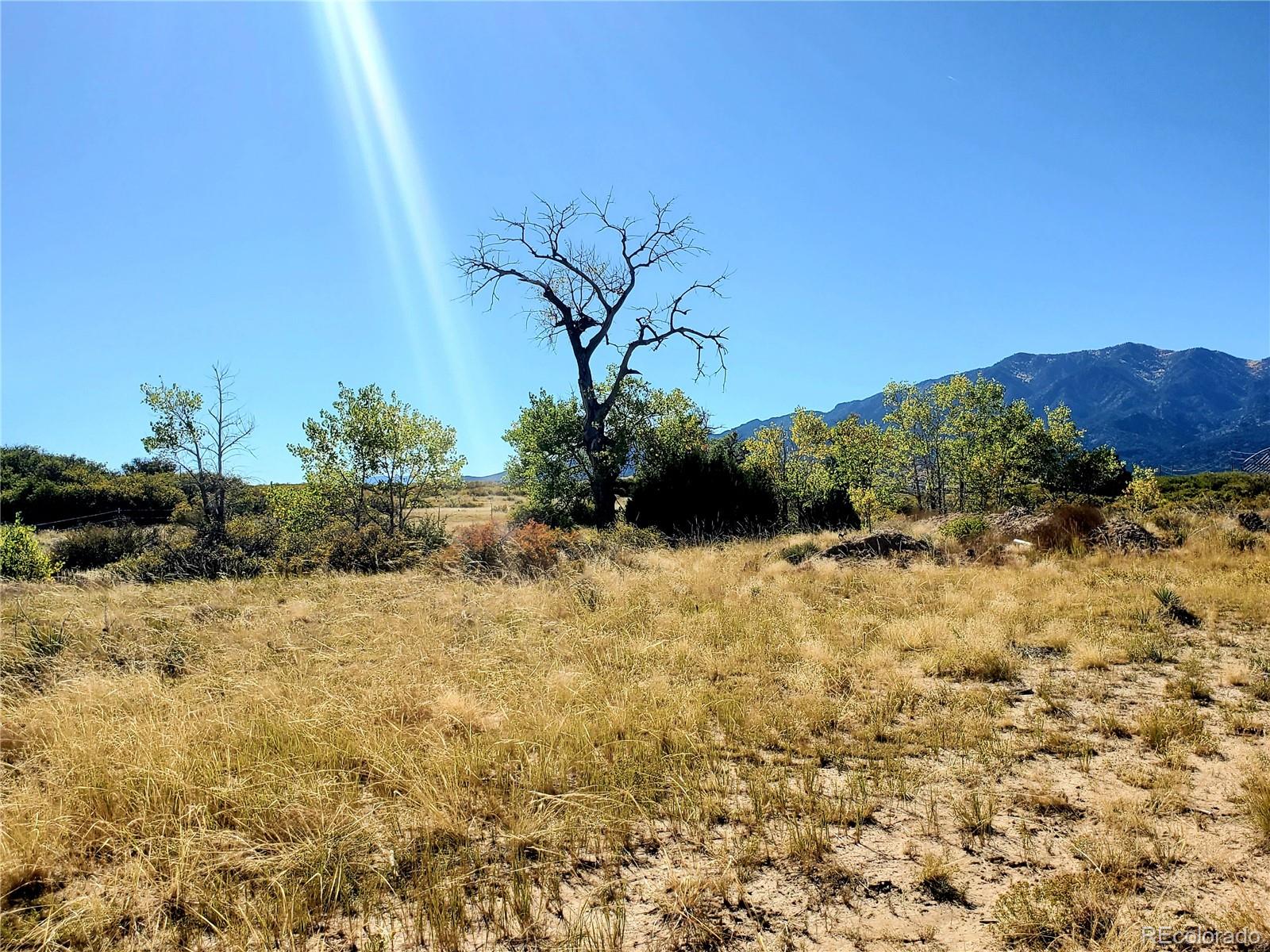 650 County Road, Unit 3 Rye, CO 81069 - Photo 2 of 25
