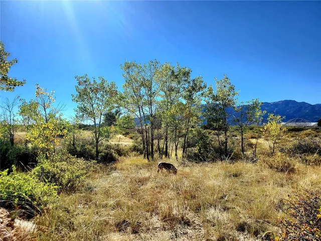 $120,000 | 650 County Road, Unit 3, Rye, CO 81069