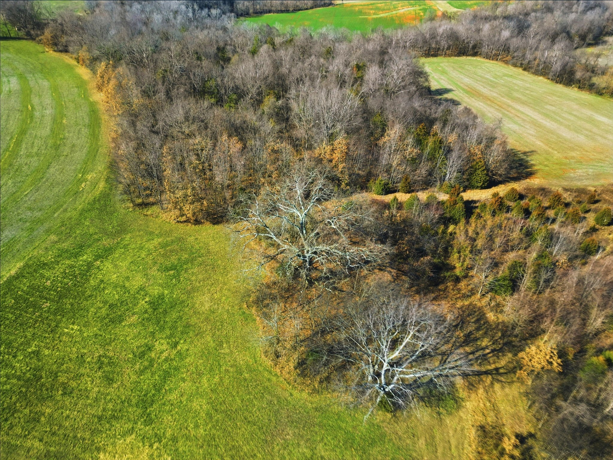 6212 H B Lee Road Springfield, TN 37172 - Photo 47 of 62