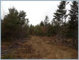 0 Cessna Way Naples, ME 04055 - Photo 3 of 8 Land/Lot. Lot 17