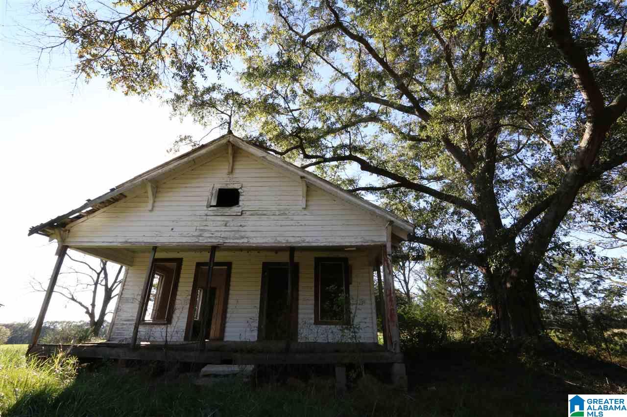 567 Dial Road Blountsville, AL 35031 - Photo 33 of 46